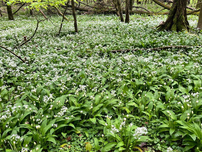 22-04-25 12-16-55 0624